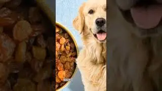 🍇🚫 Raisins & Grapes_ Toxic Foods for Dogs! Keep Your Pup Safe 🐶🛑 #DogSafety #GrapeToxicity