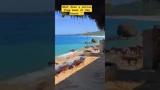 What does a yellow flag mean at the beach 🏖️