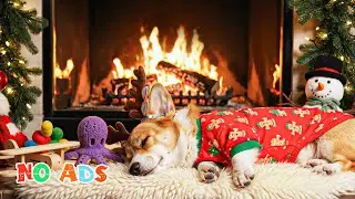 12 HOURS Calming Dog Music 🐶🦌 Calming Melodies for Anxious Dogs 🎅 Soothing Sounds 🎄No Ads