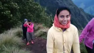 Kolukkumala Camping | Highest Tea Garden | Trekking | Kerala