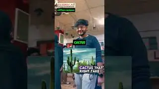 Fun English Vocabulary Game! Learn & Speak English with Us | ESL Activity at Eureka!