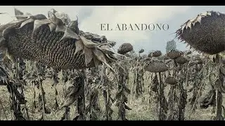 El abandono. Jesús Díaz. Mud Gallery. La Intrusa