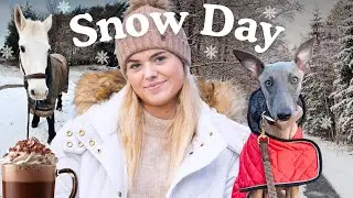 Extreme Cold Weather - Artic Blast - Emergency Horse Care - This Esme