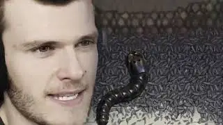 GIANT INSANE WORM DEVOURS IT'S OWN BABIES ON TERRIFYING RAMPAGE Insatia