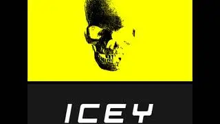 Hyper Reality Radio - Episode 037 ft. ICEY (16-06-16)