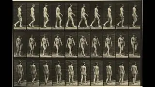 Animal Locomotion: Plates #11-20 (1884-1887) by Eadweard Muybridge