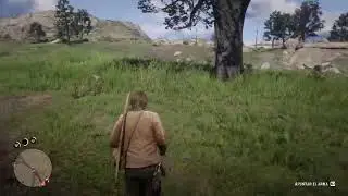Red dead redemption 2 de chill