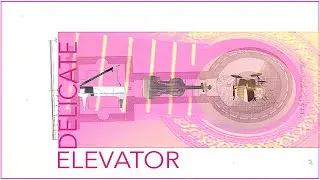 DELICATE~ELEVATOR(2020)