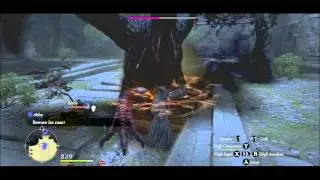 Dragon's Dogma Dark Arisen Defeat the Cockatrice