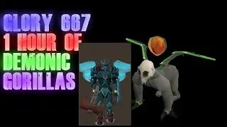 GLORY667|1 HOUR AT DEMONIC GORILLAS