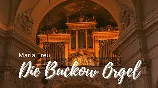 Die Buckow Orgel in Maria Treu