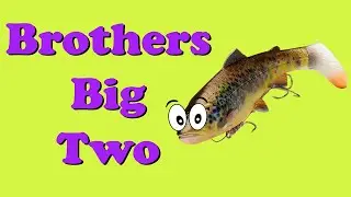 Making Soft Plastic Fishing Lures 4D Rattle Trout and G2 Weedless DIY Bait molds from BUGMOLDS