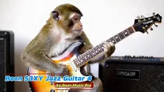 Boon Music Pro - Boon S3XY Jazz Guitar 4 (Official Music Video)
