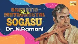Sogasu 🎶 - Flute Version by Dr. N. Ramani | 🕉️Thyagaraja Krithi - Instrumental✨| Kanada Gowla Ragam🎶