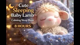 Sleeping Baby Lamb 🐑❄️ Gentle Snow & Soft Ambience for Deep Baby Sleep | 8 Hours Baby Sleep Ambience