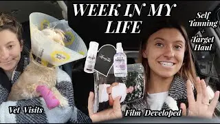 WEEK IN MY LIFE: dental school, self tanning, vet visit, new planner + target haul