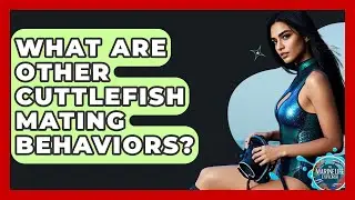 What Are Other Cuttlefish Mating Behaviors? - The Marine Life Explorer
