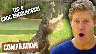 Top 5 CRAZY Croc Encounters! 🐊 | Untamed Compilation