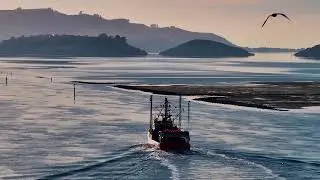 Dunedin Otago Harbour