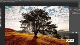 104 Graphic Design    Software Adobe Photoshop Adjustment Panel   Color Balance, HueSaturation