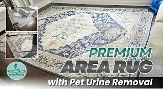 Premium Area Rug Cleaning with Pet Urine Removal - Westfield NJ