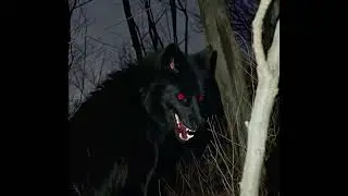 MexikoDro - Height (slowed & reverb)