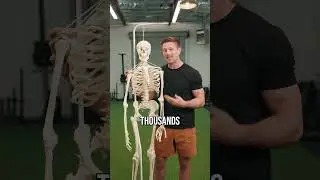 Fix This Muscle To Fix Neck Pain