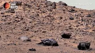 Perseverance Rover Captured Something On Mars That Will Shock You!