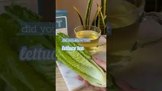 BOILED Lettuce Tea 🥬?? Crazy Sleep Hack 😴