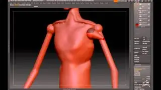 Zbrush4R4 - ZSpheres Anatomy