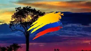 Música Instrumental Típica de Colombia