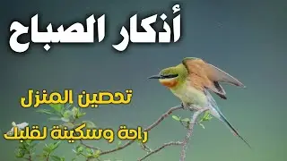 اذكار الصباح تلاوة تريح القلب 🌿لجلب الرزق والشفاء والبركة باذن الله Adhkar Morning