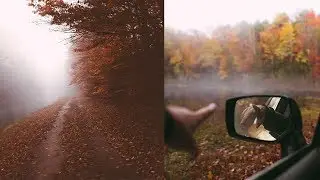 The BEST road I've ever driven on (Cabin in Maine)