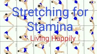 Stretching up of Daily Exercise#2| For Stamina building, Flexibility and Balancing| Living Happily