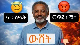 ስለ ስሜቶች የተዋሸነው ትልቅ ውሸት! | Stop Fighting Your Emotions