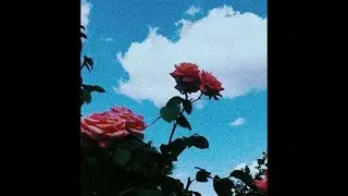 (FREE) Lo-fi Type Beat - 