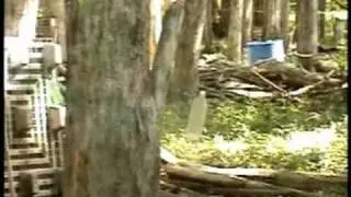 How to Play Paintball : How to Go Target Shooting with a Paintball Gun