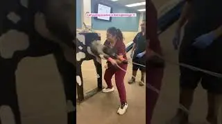 Calf pulling practice in theriogenology #reels #vet #funny #cow  #trend  #animals #tranding