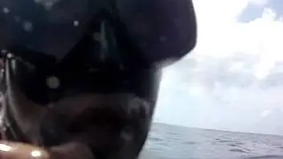 Tanaka e a barracuda em Noronha