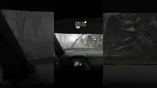 WRC 8 #8 part3