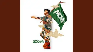 Wave Your Flag