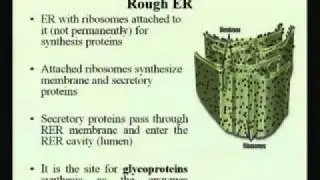 Mod-01 Lec-03 Virus and Cell Organelles