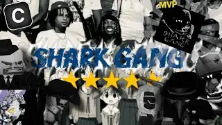 🌟  SHARK GANG. ⸙ | - A Call Of Mini Zombies 2 Montage. (COMZ2)〘DIVINE LIGHT - CANA〙