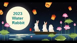 Year of the Water Rabbit Astrology Outlook - Rabbit