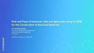 REPLAY Pick and Place of Neuronal Cells & Spheroids using FluidFM for the Construction of Neuronal