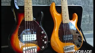 Ernie Ball Music Man StingRay5 2005 e 1999