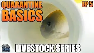 Fish Quarantine Basics - Livestock Series