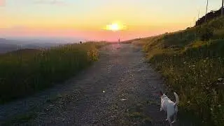 Sunset walk on Whitetop mountain