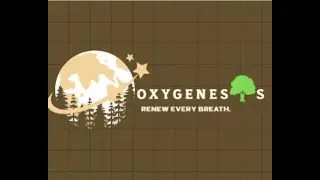 Oxygenesis, Carbon Capture Homes/ ILS class 8 / Viskit Bahrat Buidathon