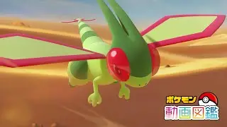 【公式】「ポケモン動画図鑑」No.0330 フライゴン